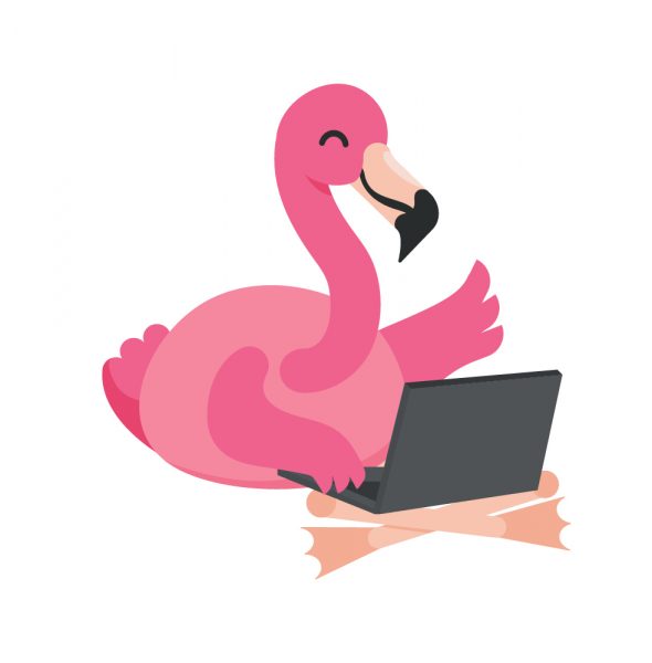 Business mit Leichtigkeit &#8211; Flamingo-Business-Feeling das Jahresprogramm