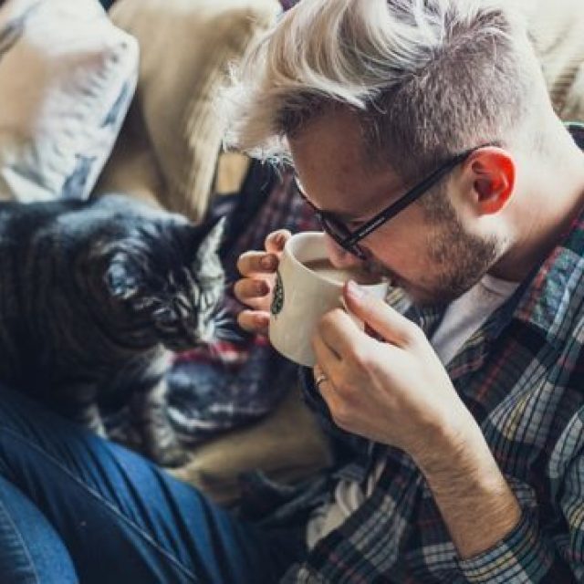 Katzensprache verstehen – die Grundlage für eine harmonische und erfüllte Katze – Mensch – Beziehung